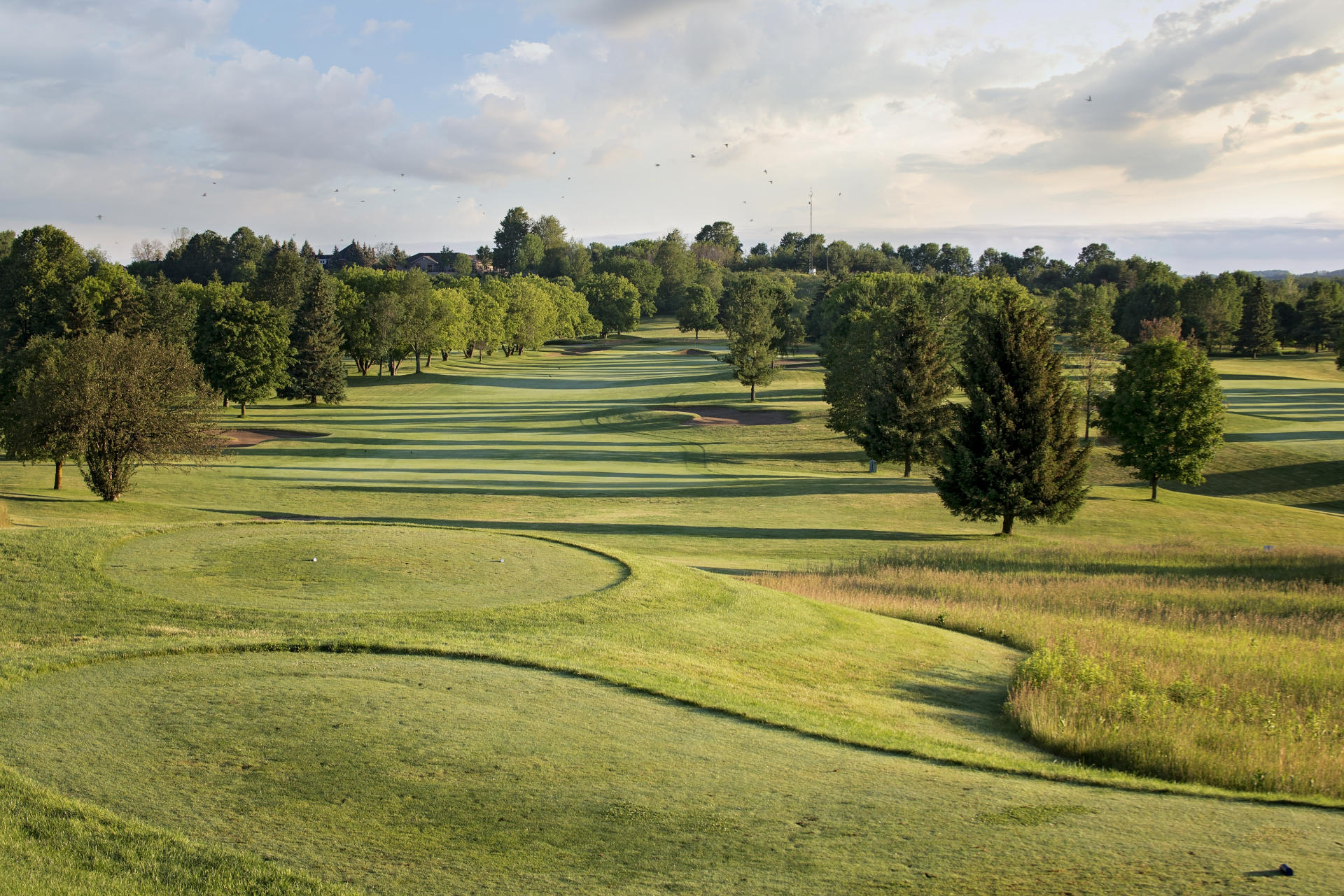 golf course near toronto