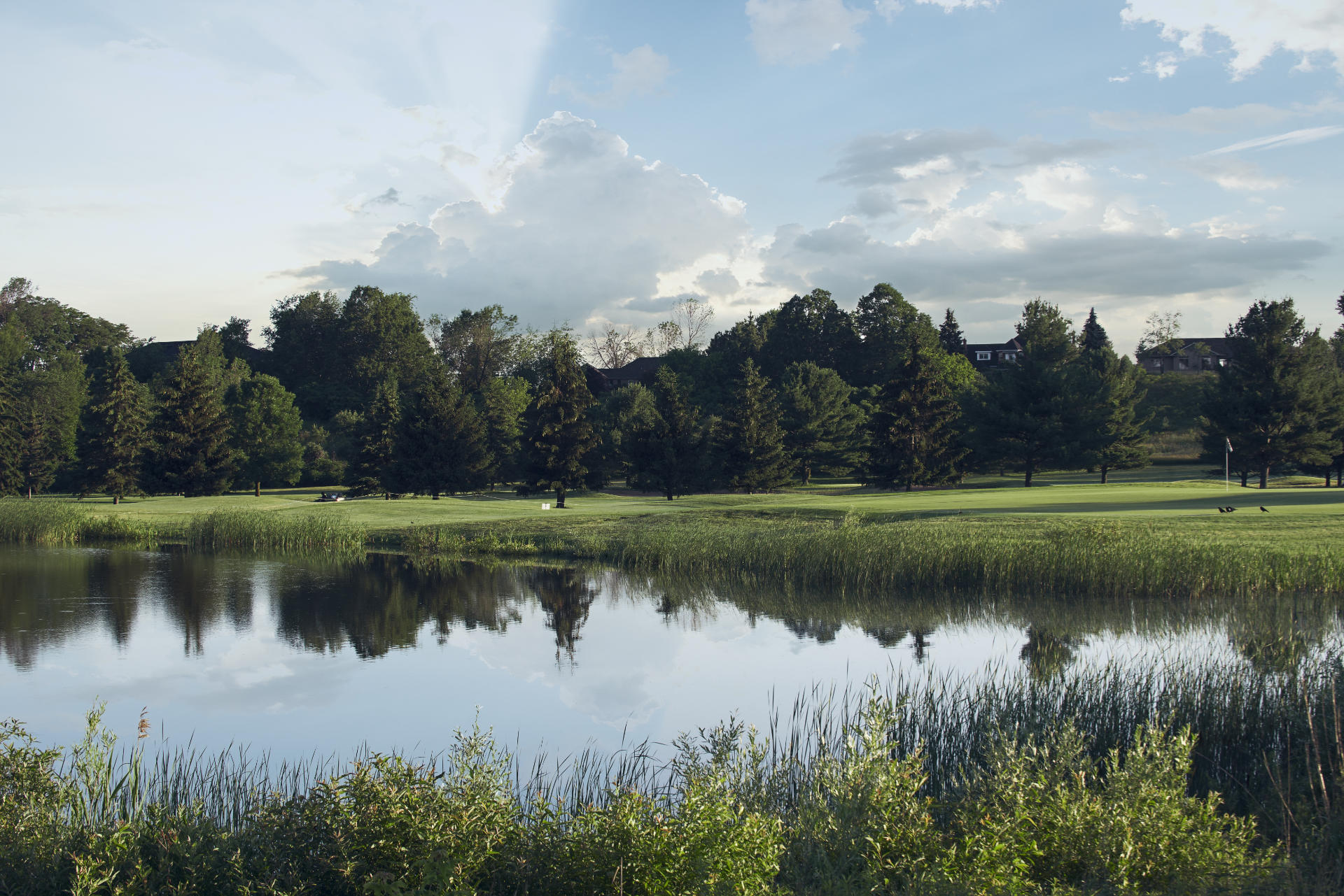 golf course near toronto